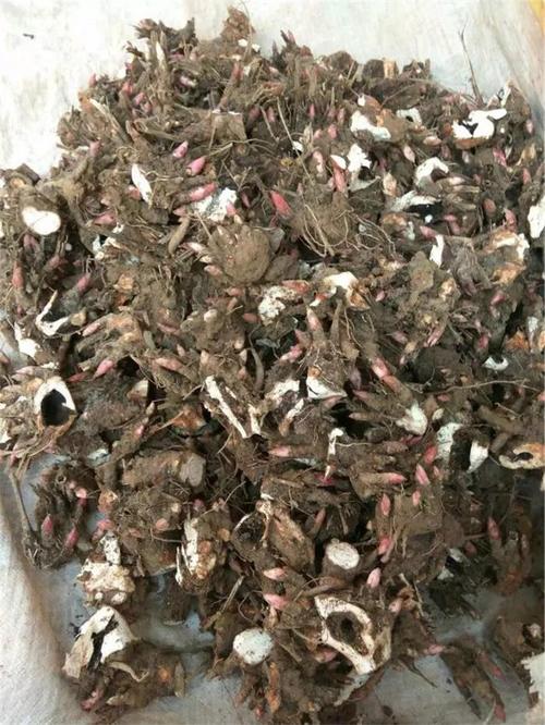 供应产品