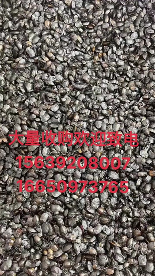 收购农产品的抖音